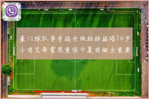 豪门球队争夺战升级柏林赫塔16岁小将艾希霍恩重伤今夏将做出重要决定